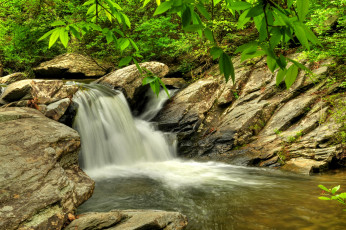 Картинка природа водопады водопад река лес