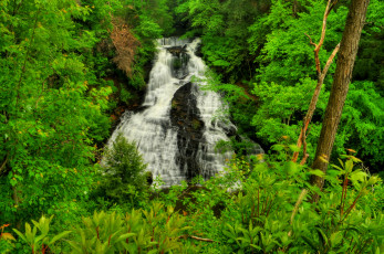 Картинка природа водопады река лес водопад