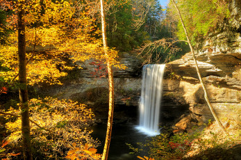 Картинка природа водопады водопад река лес