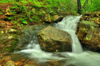 Картинка природа водопады водопад река лес