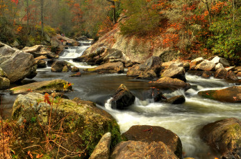 Картинка природа водопады водопад река лес