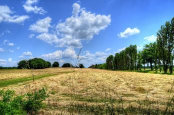 Картинка природа поля облака поле деревья