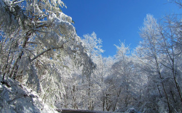 Картинка природа зима снег дорога