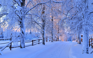 Картинка природа зима снег дорога деревья лес небо пейзаж forest road nature winter sky white beautiful cool nice snow sunset path trees