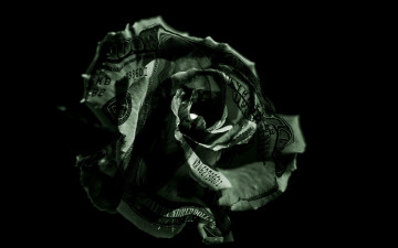 Картинка разное компьютерный+дизайн макро бутон роза бакс доллар