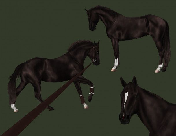 Обои картинки фото рисованное, животные,  лошади, фон, лошади