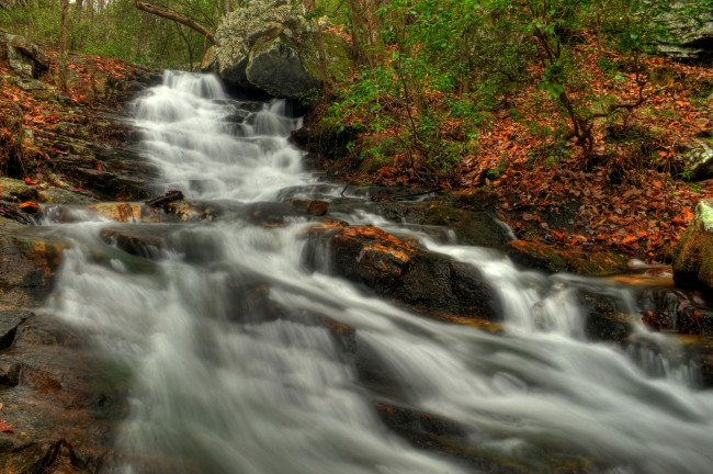 Обои картинки фото природа, водопады, лес, река, водопад