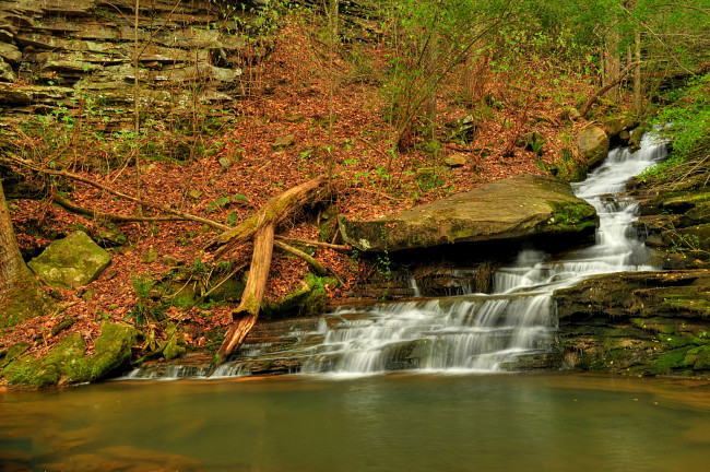 Обои картинки фото природа, водопады, водопад, река, лес
