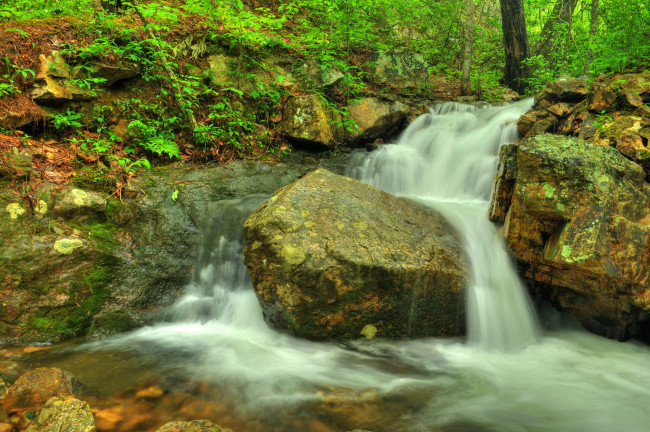 Обои картинки фото природа, водопады, водопад, река, лес