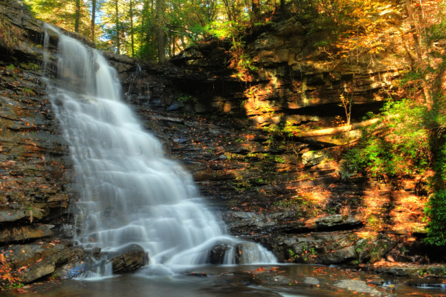 Обои картинки фото природа, водопады, водопад, река, лес