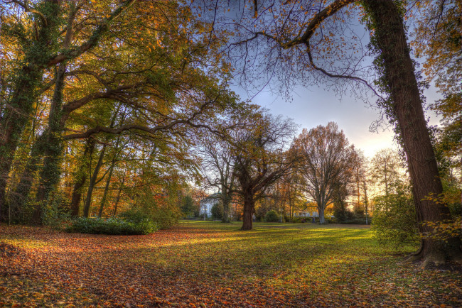 Обои картинки фото природа, парк, краски, осень