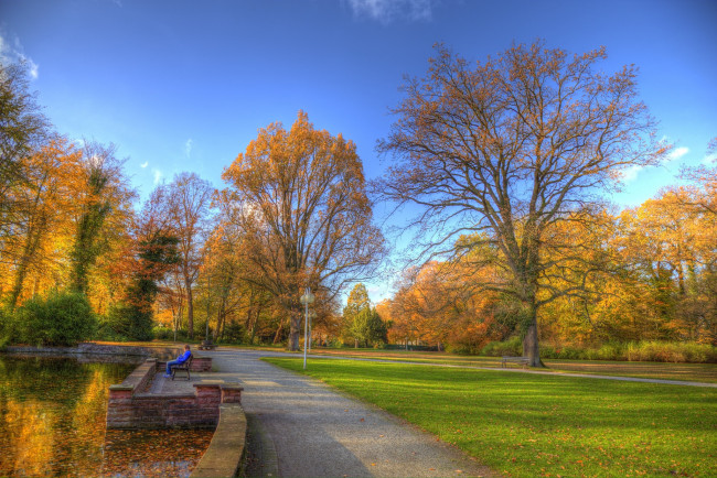 Обои картинки фото природа, парк, краски, осень