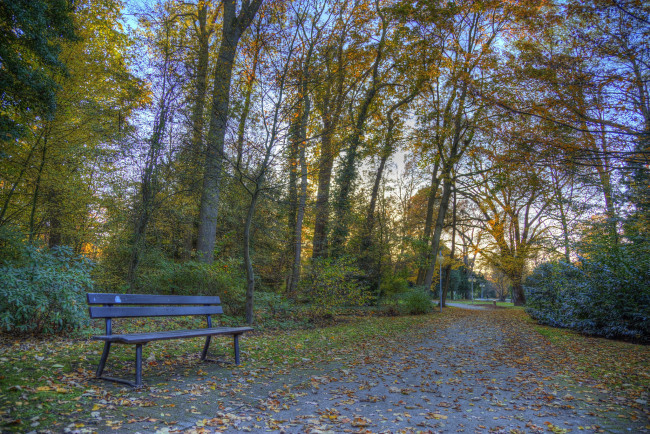 Обои картинки фото природа, парк, краски, осень