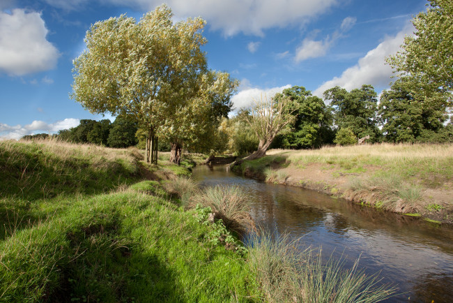 Обои картинки фото природа, реки, озера, река, лес, облака