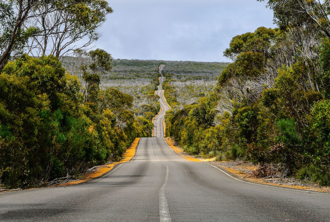 Обои картинки фото природа, дороги, шоссе, лес, горизонт