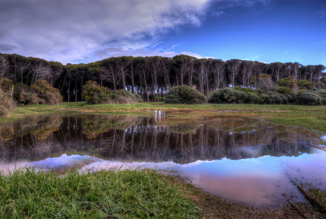 Обои картинки фото природа, реки, озера, река, отражение, деревья