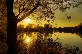 Картинка природа восходы закаты река лес