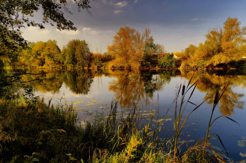 Картинка природа реки озера река лес