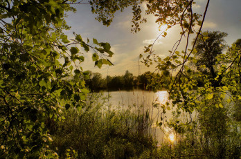 Картинка природа реки озера река лес