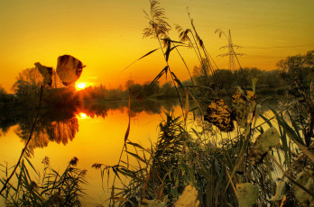 Картинка природа восходы закаты лес река