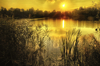 Картинка природа восходы закаты река лес