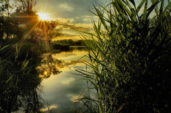 Картинка природа восходы закаты река лес