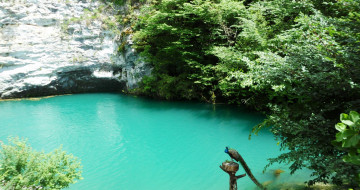 Картинка животные павлины павлин зелень обрыв озеро