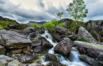 Картинка природа реки озера река лес