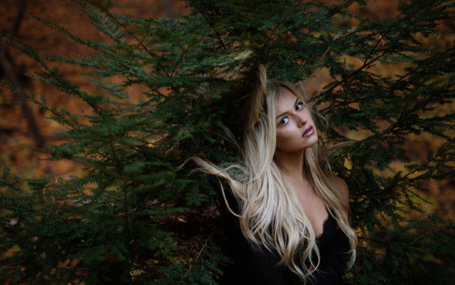 Обои картинки фото девушки, -unsort , блондинки, взгляд