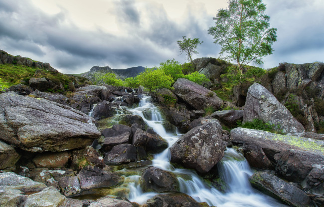 Обои картинки фото природа, реки, озера, река, лес