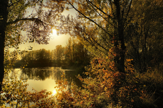 Обои картинки фото природа, реки, озера, река, лес