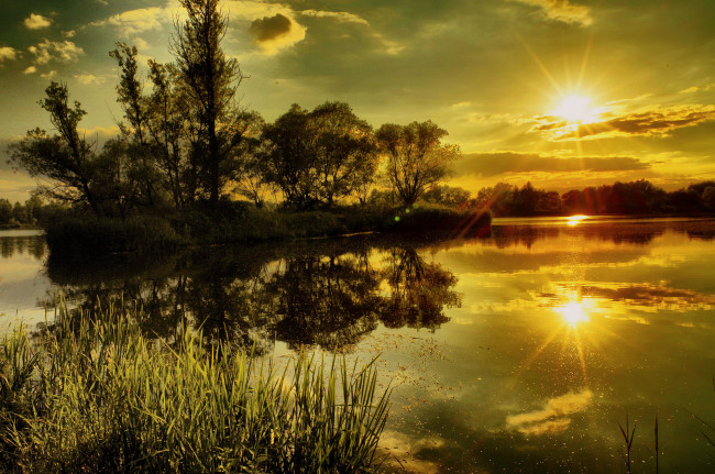 Обои картинки фото природа, восходы, закаты, лес, река