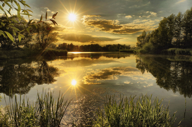 Обои картинки фото природа, восходы, закаты, река, лес