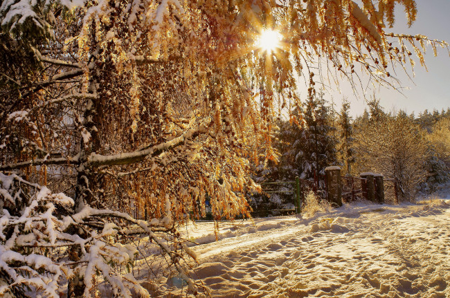 Обои картинки фото природа, зима, снег, дорога