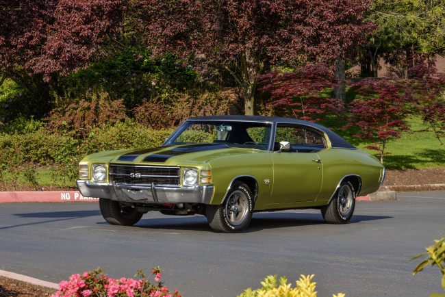 Обои картинки фото автомобили, chevrolet