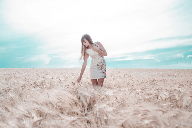 Обои картинки фото девушки, -unsort , брюнетки,  шатенки, колосья, платье, поле, девушка