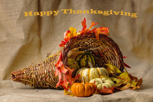 Обои картинки фото праздничные, день благодарения, тыква, корзина