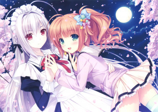 Картинка аниме unknown +другое sayori