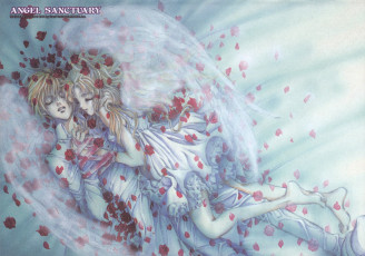 Картинка аниме angel+sanctuary двое