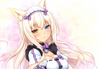 Картинка аниме nekopara