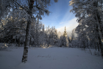 Картинка природа зима снег