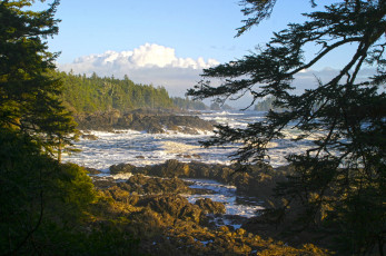 Картинка природа побережье море берег