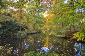 Картинка природа реки озера река лес