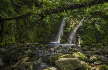 Картинка природа водопады лес река водопад