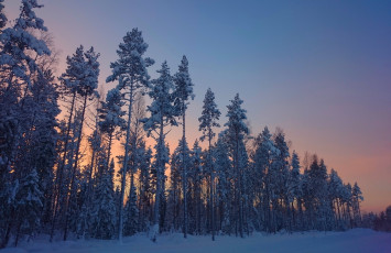 Картинка природа зима снег