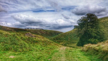 Картинка природа пейзажи простор