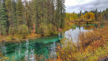 Картинка природа реки озера лес река