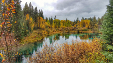 Картинка природа реки озера лес река