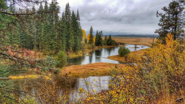 Картинка природа реки озера лес река