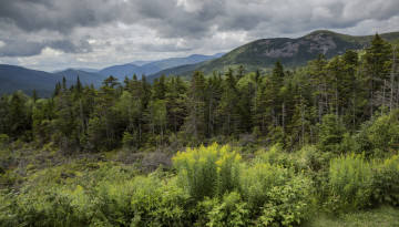 Картинка природа пейзажи простор